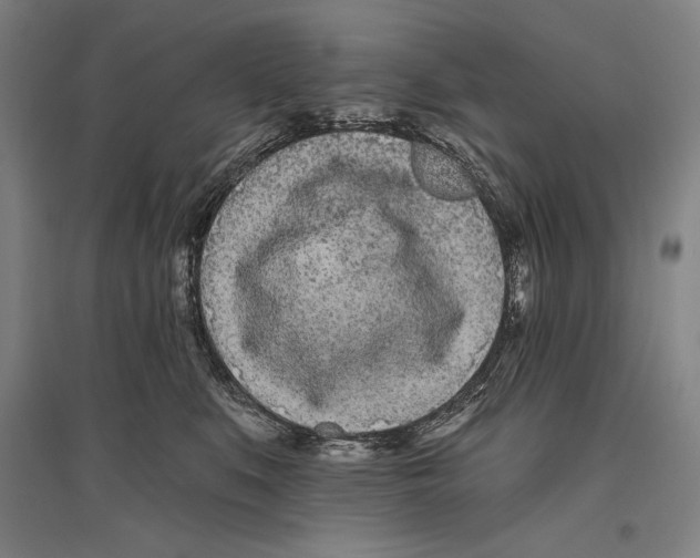 X0000096630519200803041107