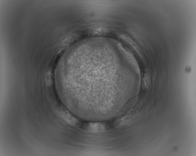 X0000096630520200803041107