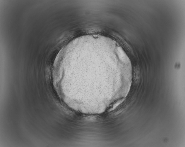 X0000096630523200803041107
