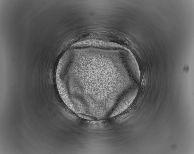 X0000096630524200803041107