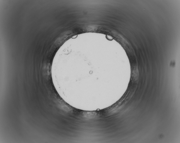 X0000096630525200803041107