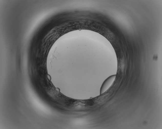 X0000096630526200803041107