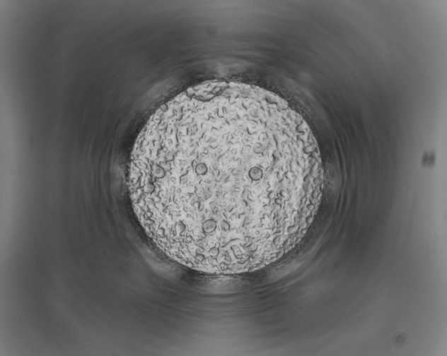 X0000096630527200803041107