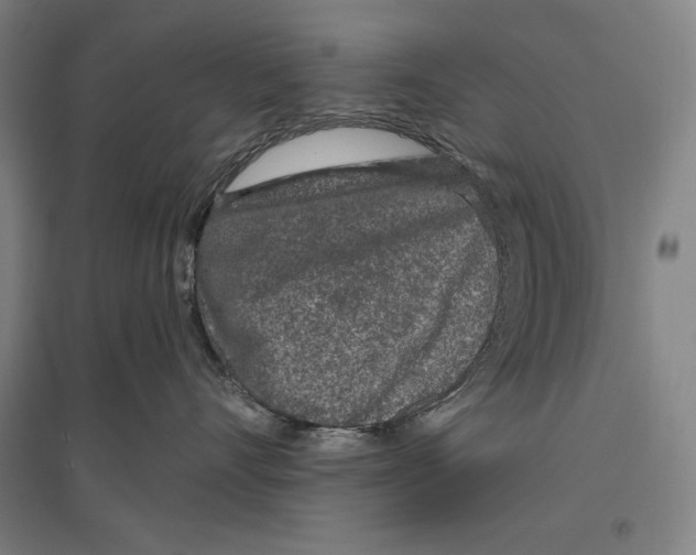 X0000096630528200803041107