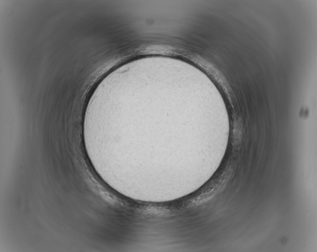 X0000096630529200803041106