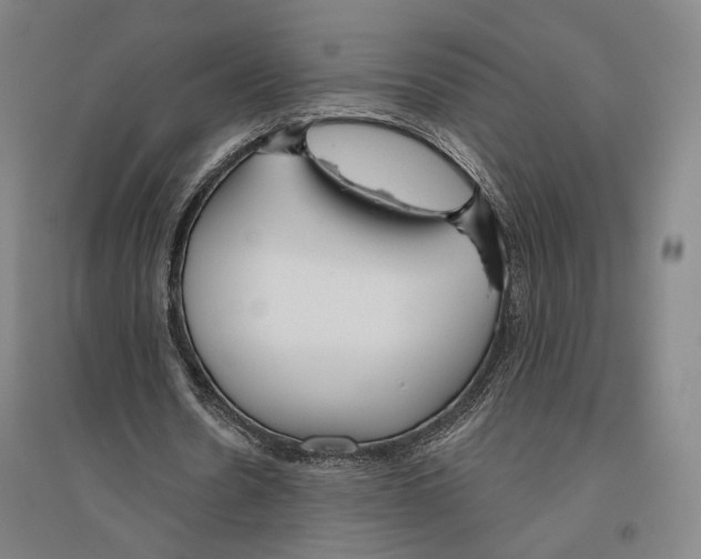 X0000096630530200803041106