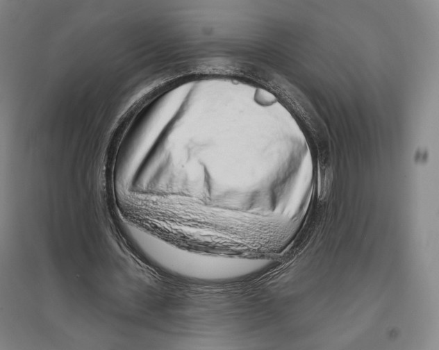 X0000096630531200803041106