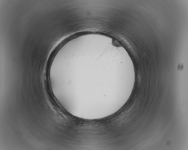 X0000096630532200803041106