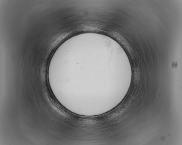 X0000096630533200803041106