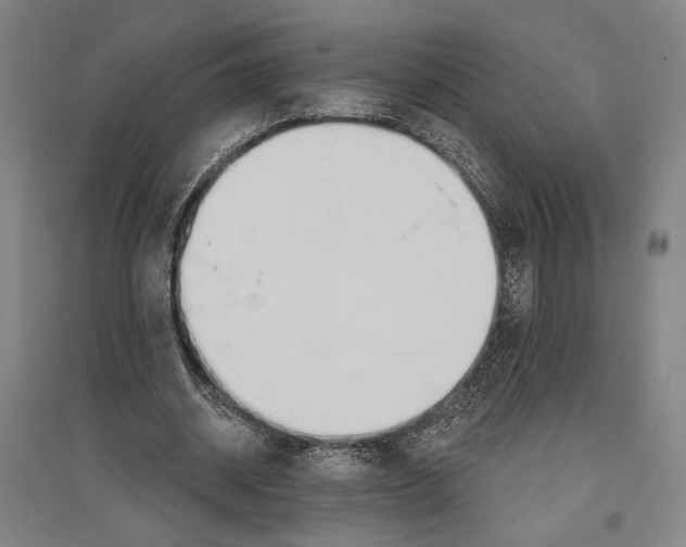 X0000096630534200803041106
