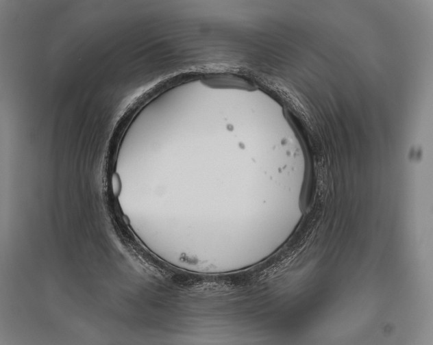 X0000096630536200803041106