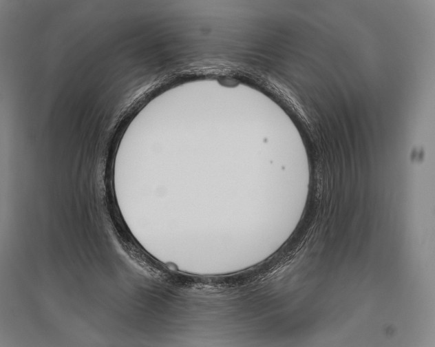 X0000096630538200803041106