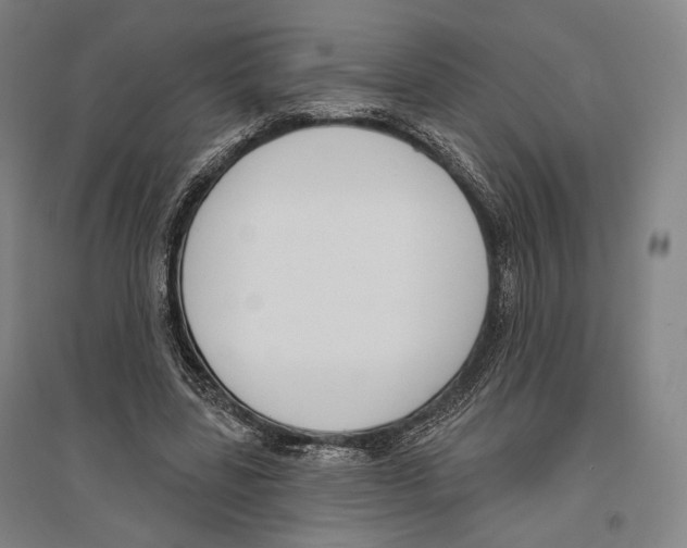 X0000096630539200803041106