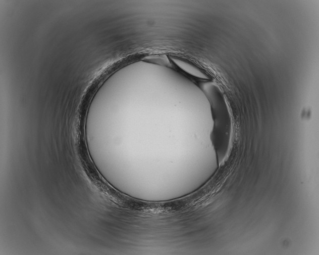 X0000096630540200803041106