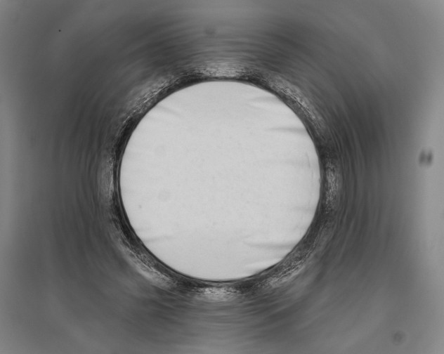 X0000096630541200803041106