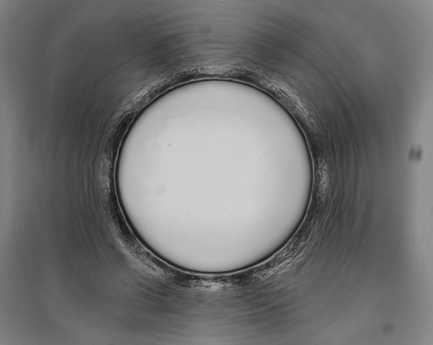 X0000096630542200803041106