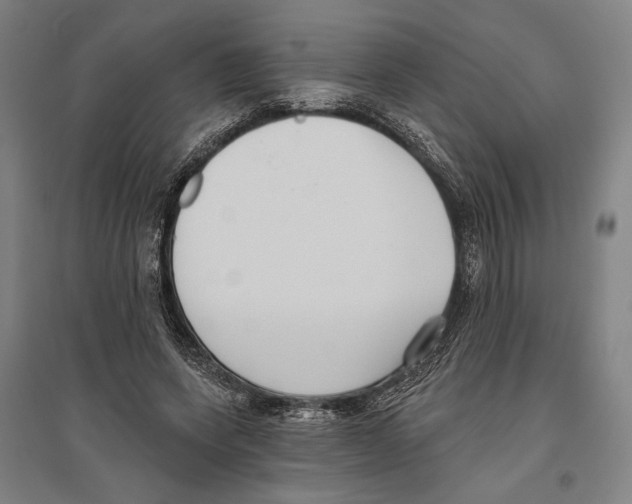 X0000096630543200803041106