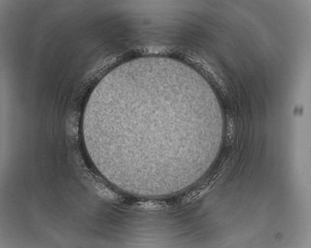 X0000096630545200803041106