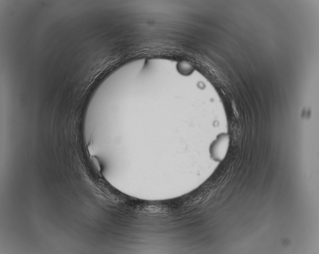 X0000096630546200803041106