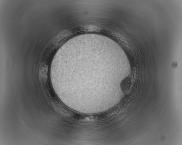 X0000096630550200803041106