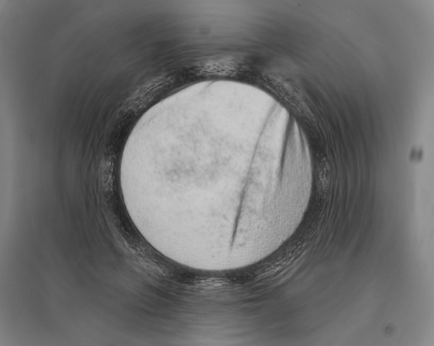 X0000096630551200803041106