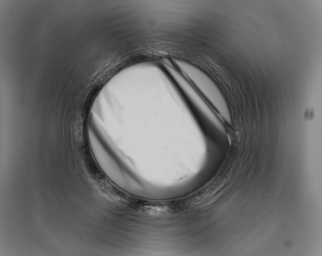X0000096630552200803041106