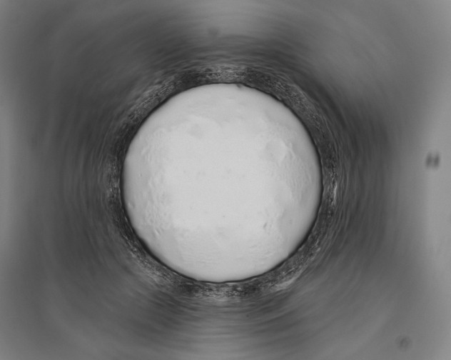 X0000096630553200803041106
