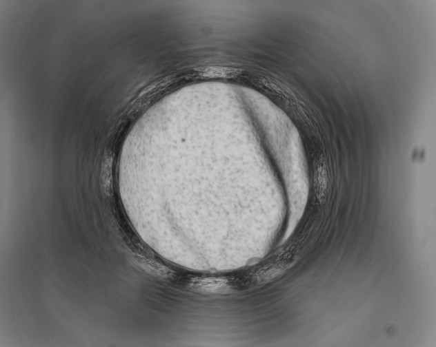X0000096630554200803041106