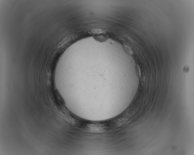 X0000096630556200803041106