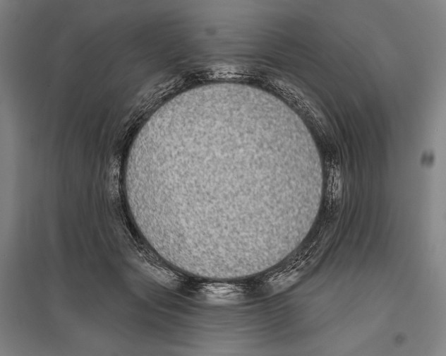 X0000096630557200803041106