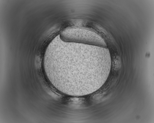 X0000096630558200803041106