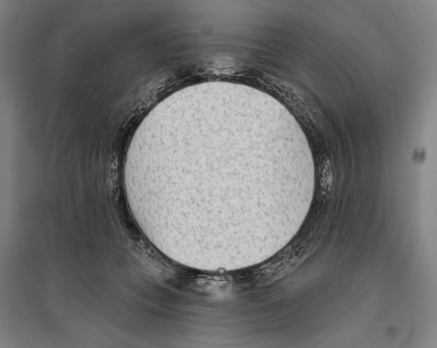 X0000096630559200803041106