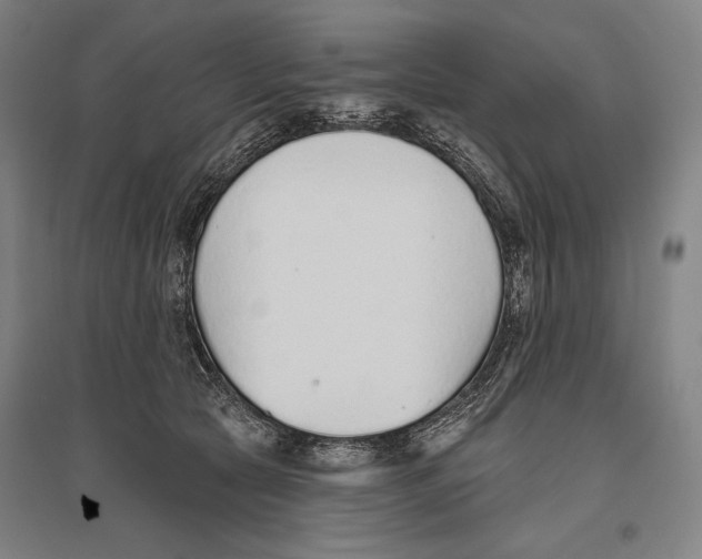X0000096630561200803041106