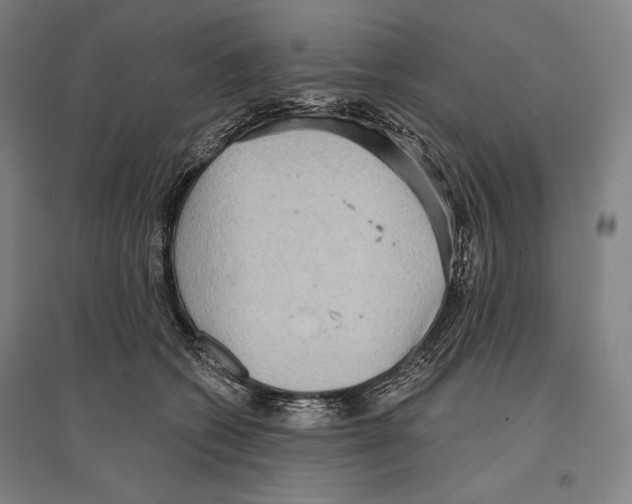 X0000096630562200803041106