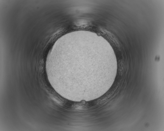 X0000096630563200803041106