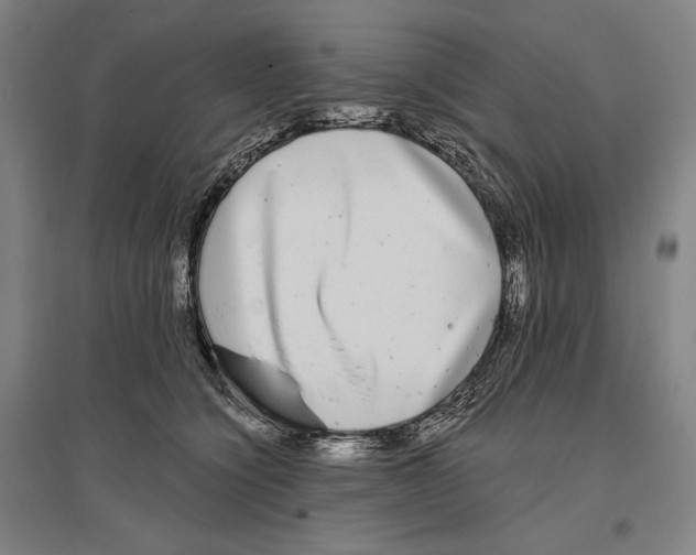 X0000096630564200803041106