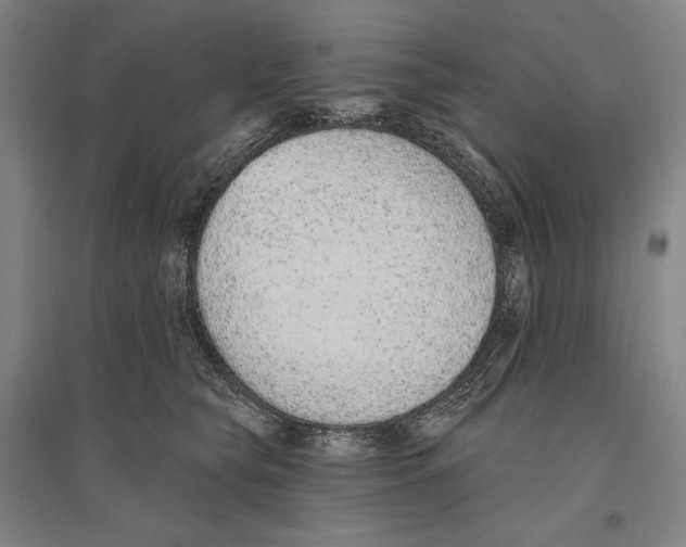 X0000096630565200803041106