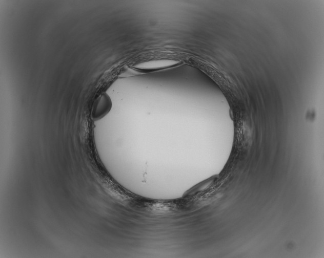 X0000096630566200803041106