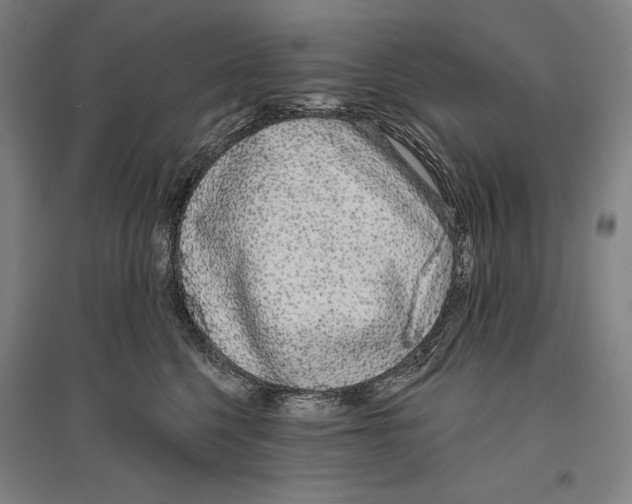 X0000096630568200803041106