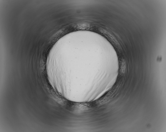 X0000096630569200803041106