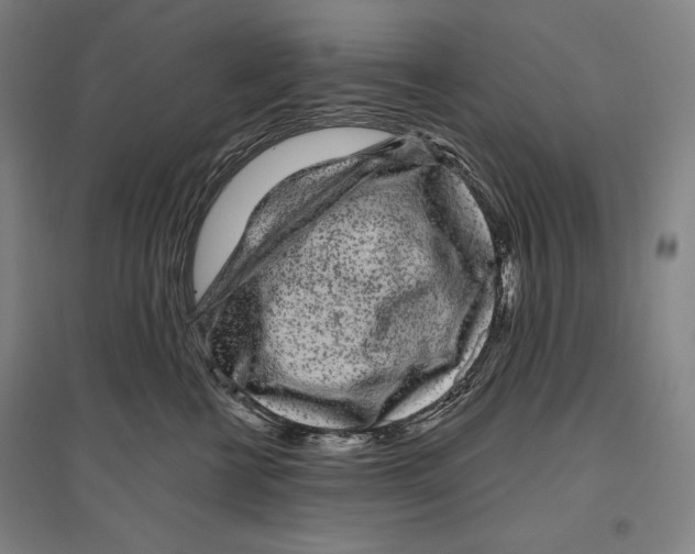 X0000096630570200803041106