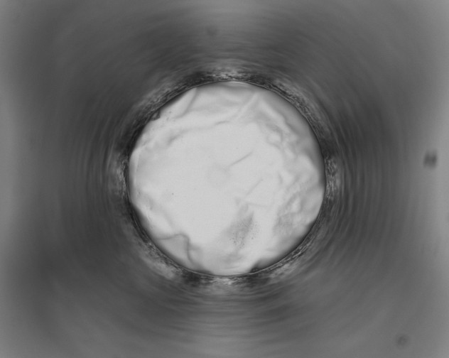 X0000096630573200803041106