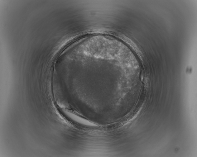 X0000096630577200803041106