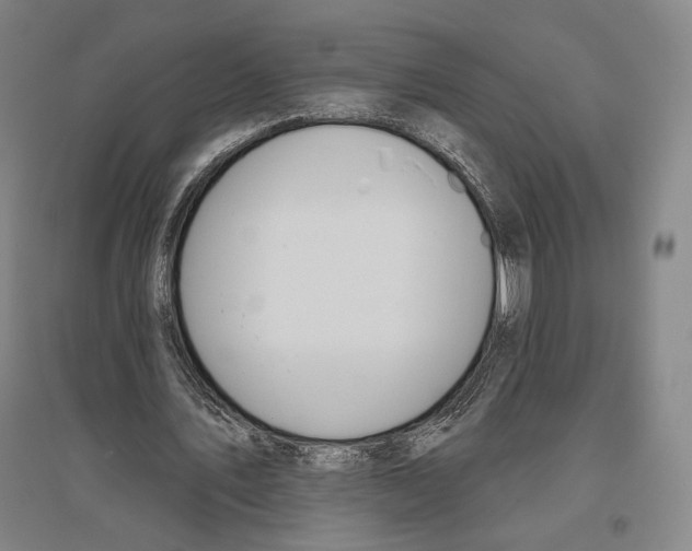 X0000096630579200803041106
