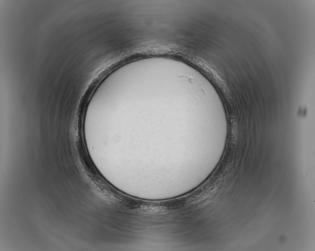 X0000096630582200803041106