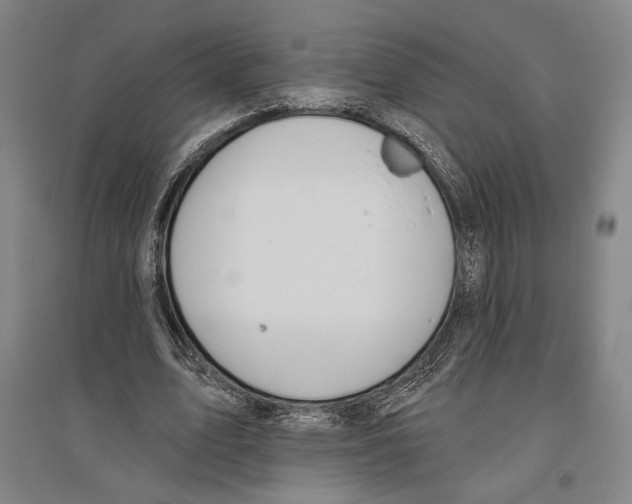 X0000096630583200803041106