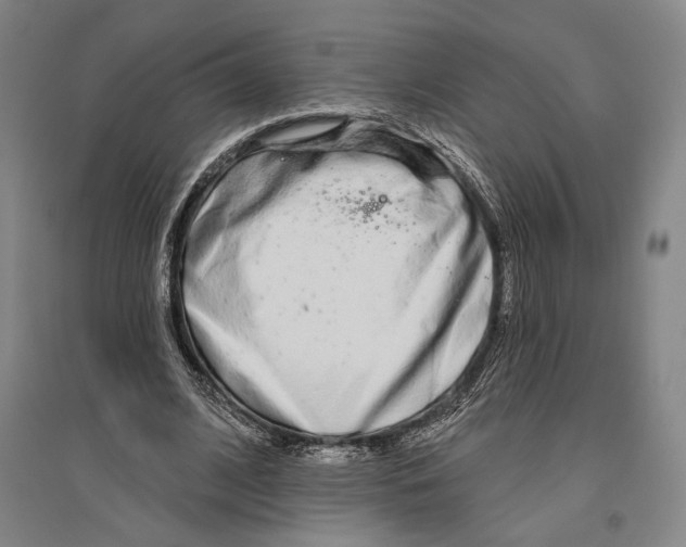 X0000096630584200803041106