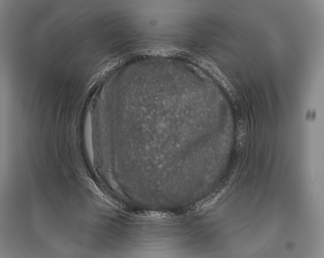 X0000096630585200803041106