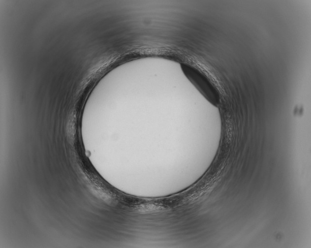X0000096630586200803041106