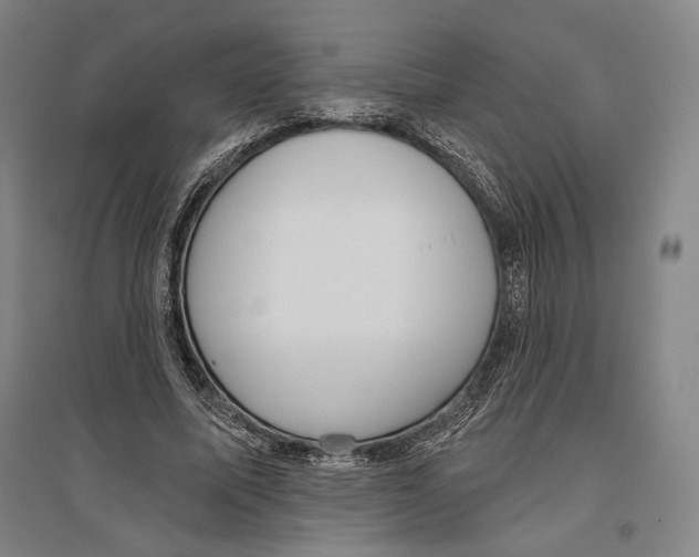 X0000096630587200803041106